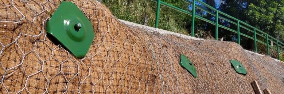 placa de ancoragem verde